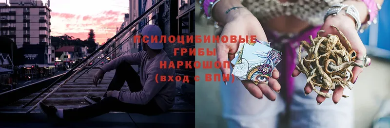 Галлюциногенные грибы мухоморы  Беслан 